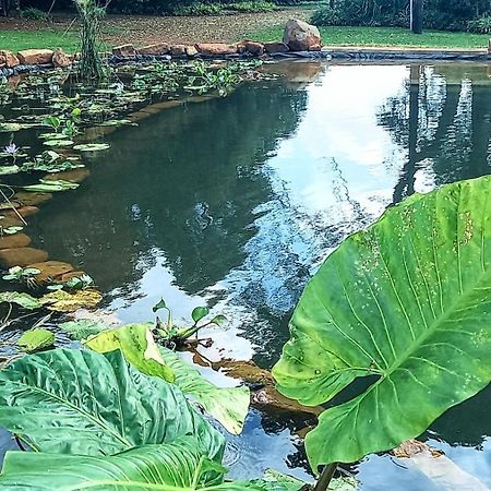 Deo Resta Guest Lodge Piet Retief Exterior foto