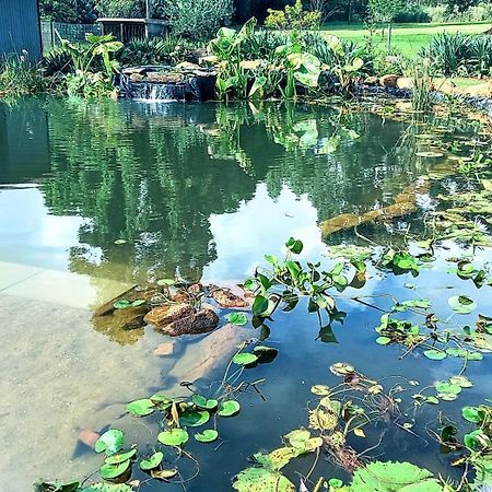 Deo Resta Guest Lodge Piet Retief Exterior foto