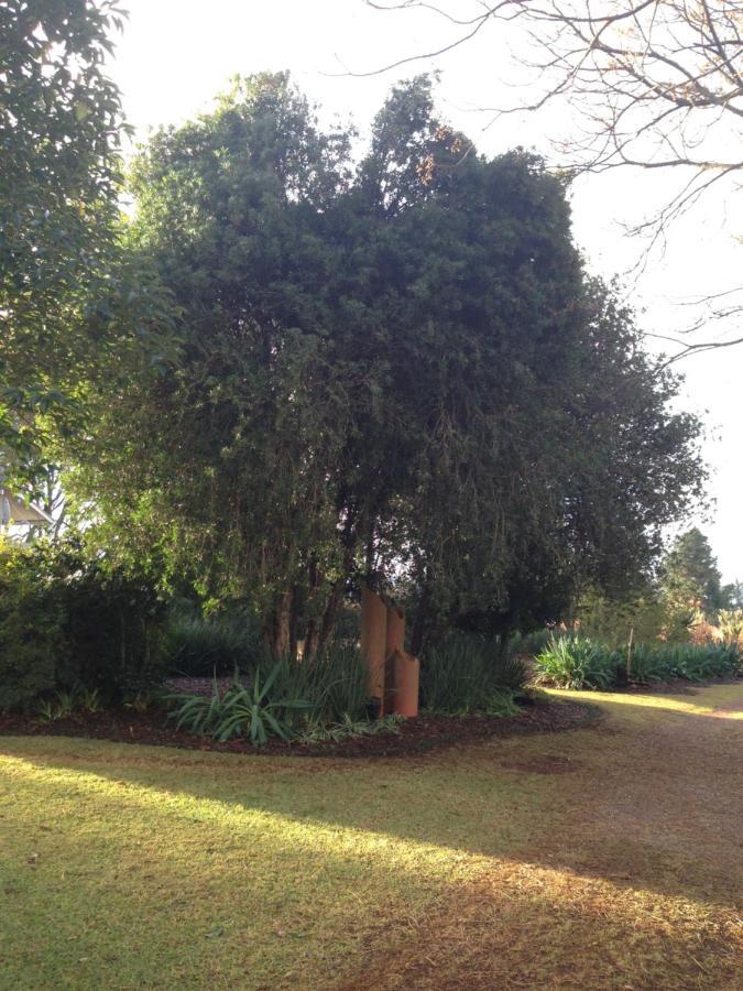 Deo Resta Guest Lodge Piet Retief Exterior foto