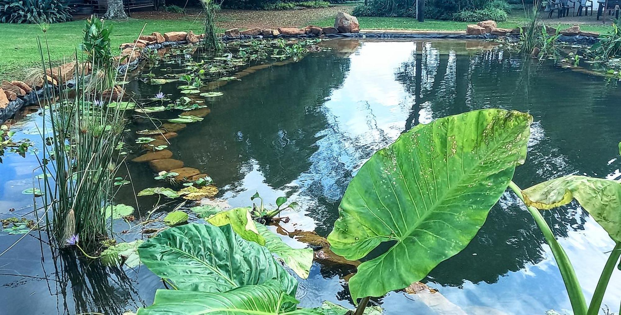 Deo Resta Guest Lodge Piet Retief Exterior foto
